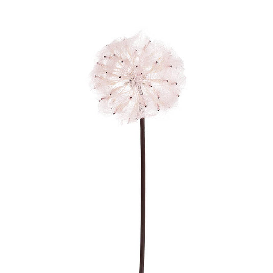 Large Dandelion Stem Soft Pink (12cmDx69cmH)