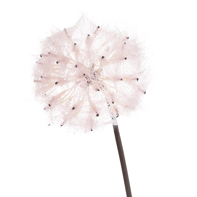 Large Dandelion Stem Soft Pink (12cmDx69cmH)