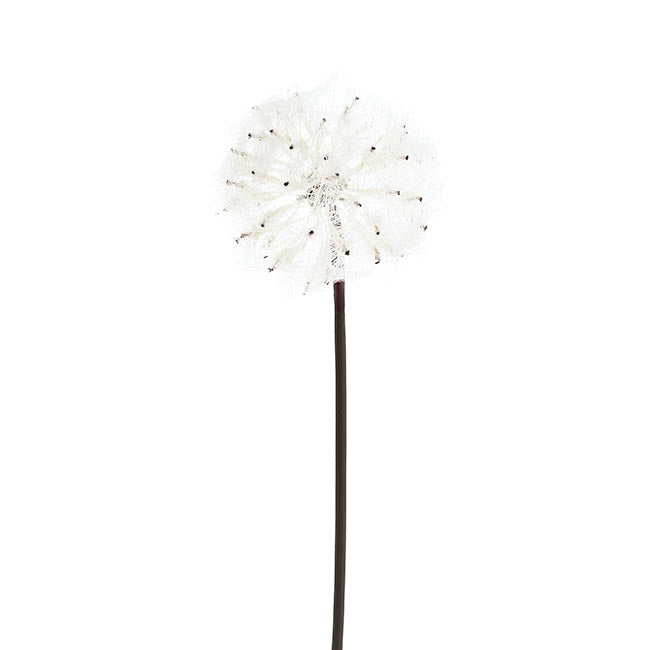Large Dandelion Stem Creamy White (12cmDx69cmH)