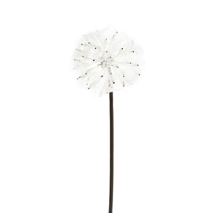 Large Dandelion Stem Creamy White (12cmDx69cmH)