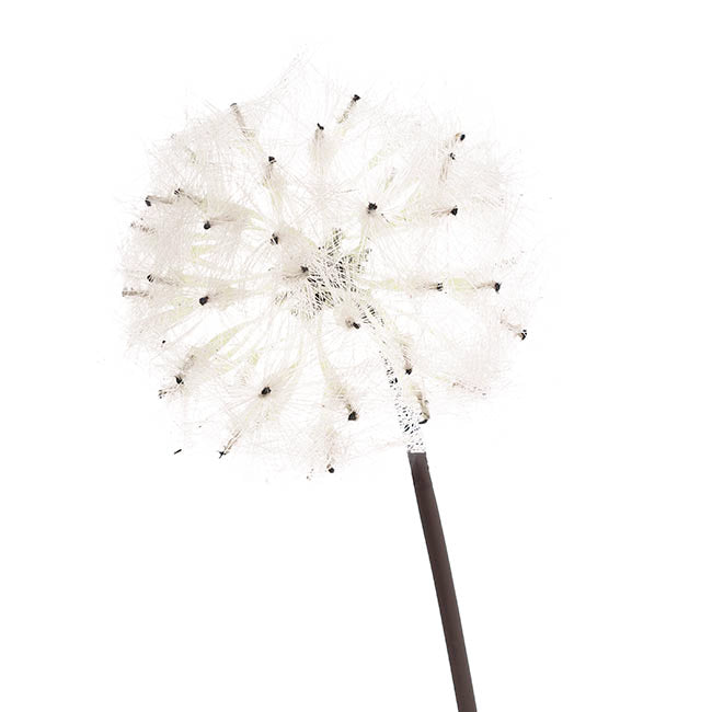 Large Dandelion Stem Creamy White (12cmDx69cmH)