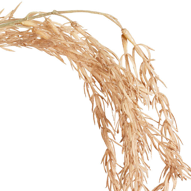 Draping Wheat Spray Almond Brown (65cmH)