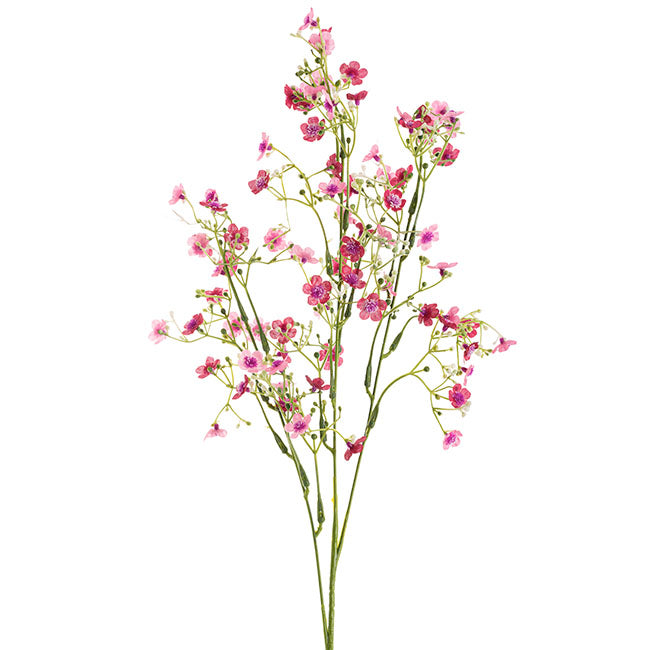 Gypsophila Baby's Breath Flower Spray Fuchsia (69cmH)