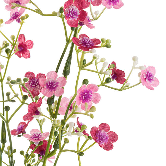Gypsophila Baby's Breath Flower Spray Fuchsia (69cmH)