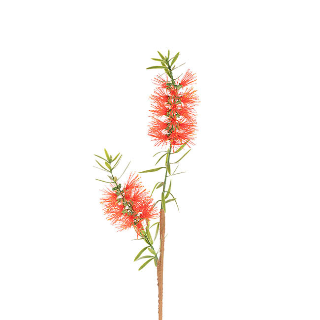 Native Bottlebrush x 2 Head Spray Red (64cmH)