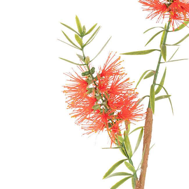 Native Bottlebrush x 2 Head Spray Red (64cmH)