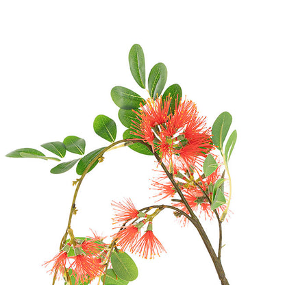 Flowering Gum Spray Red (73cmH)