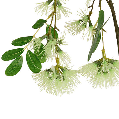 Flowering Gum Spray Soft Green (73cmH)