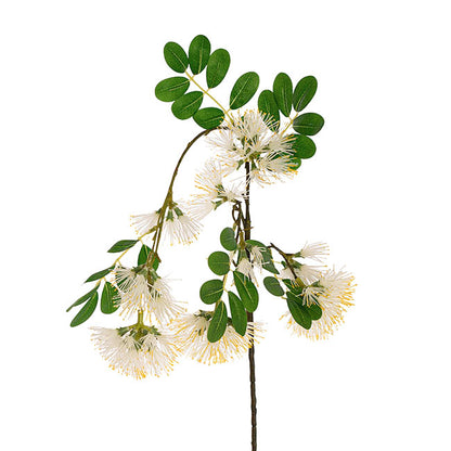 Flowering Gum Spray White (73cmH)