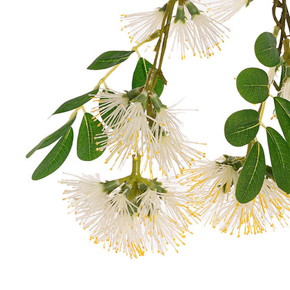 Flowering Gum Spray White (73cmH)