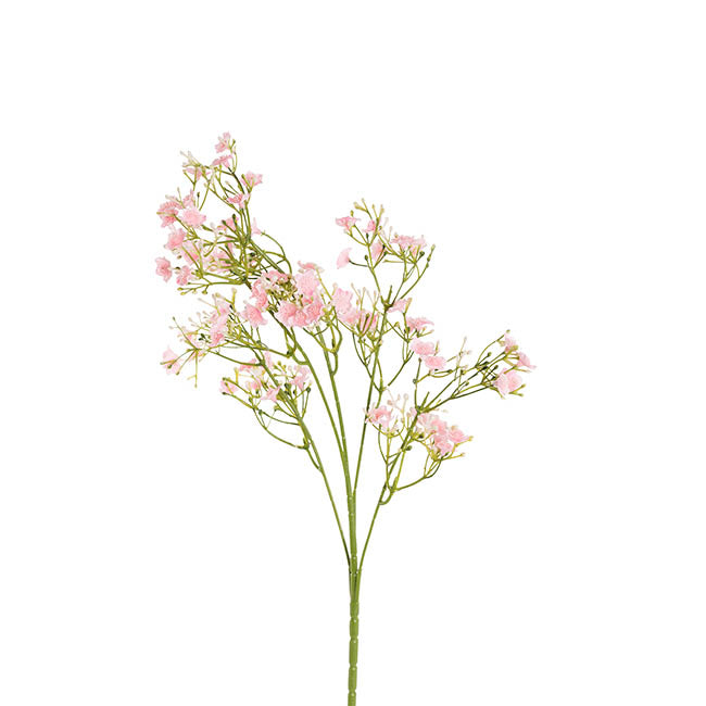Blooming Baby's Breath Spray Soft Ombre Pink (60cmH)