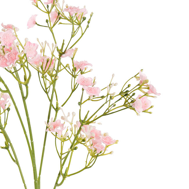 Blooming Baby's Breath Spray Soft Ombre Pink (60cmH)