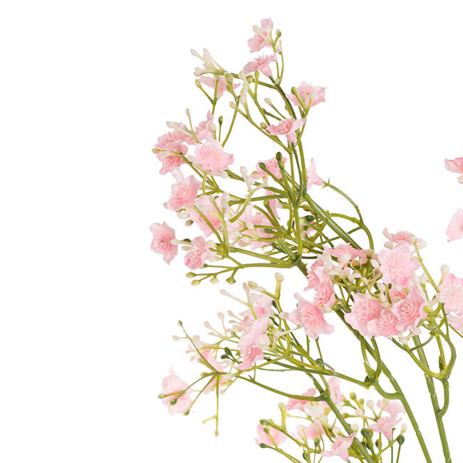 Blooming Baby's Breath Spray Soft Ombre Pink (60cmH)