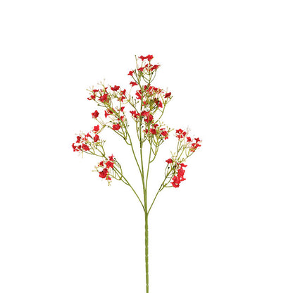 Blooming Baby's Breath Spray Red (60cmH)