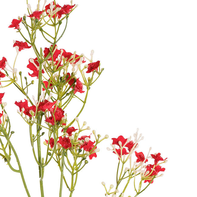 Blooming Baby's Breath Spray Red (60cmH)
