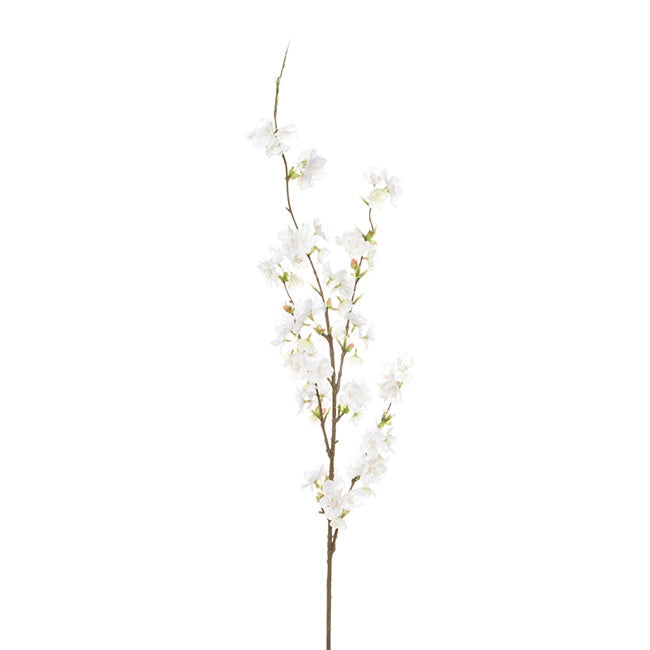 Cherry Blossom Spray White (100cmH)