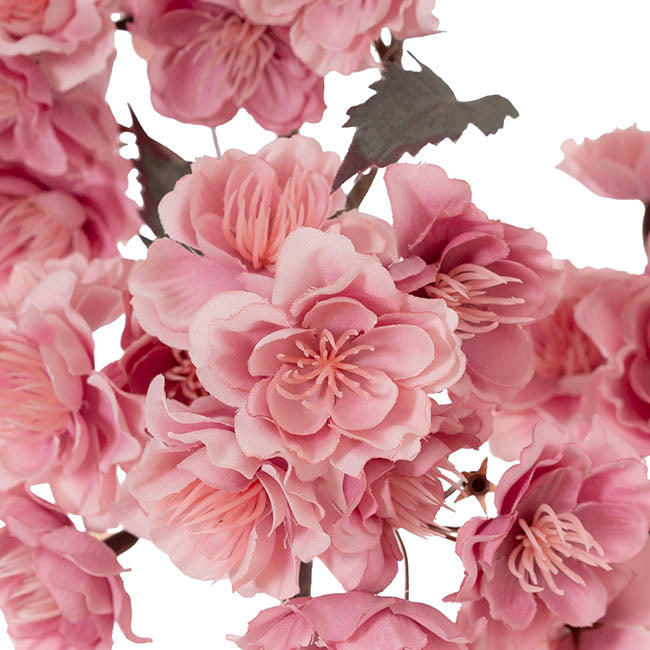 Cherry Blossom Branch Spray Dusty Pink (103cmH)