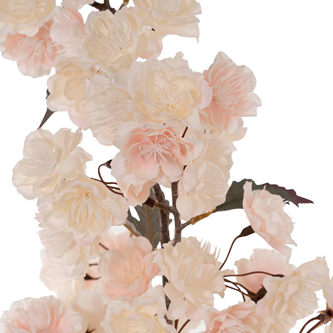Cherry Blossom Branch Spray White (103cmH)