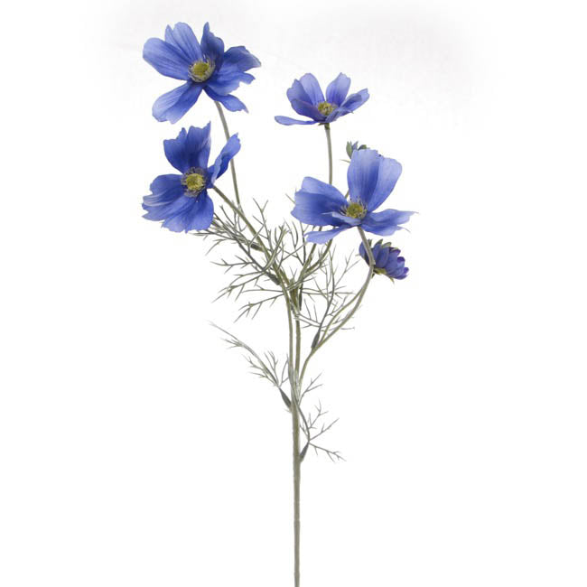 Cosmos Spray Light Blue (62cmH)