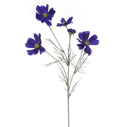 Cosmos Spray Cobalt Blue (62cmH)