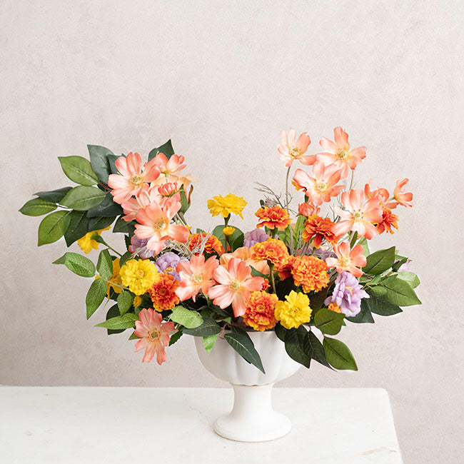 Cosmos Spray Coral (62cmH)