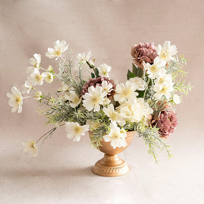 Cosmos Spray Cream (62cmH)