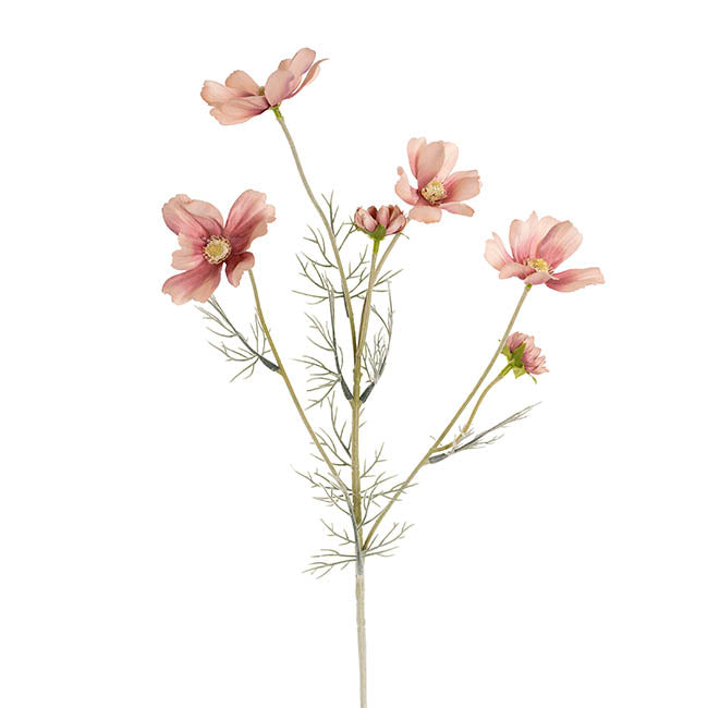 Cosmos Spray Soft Pink (62cmH)