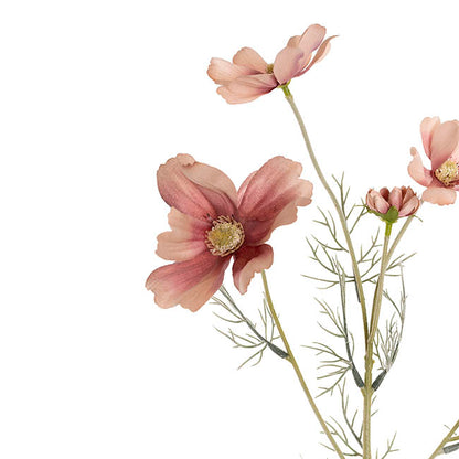 Cosmos Spray Soft Pink (62cmH)