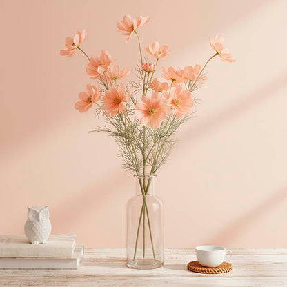 Cosmos Spray Peach (62cmH)