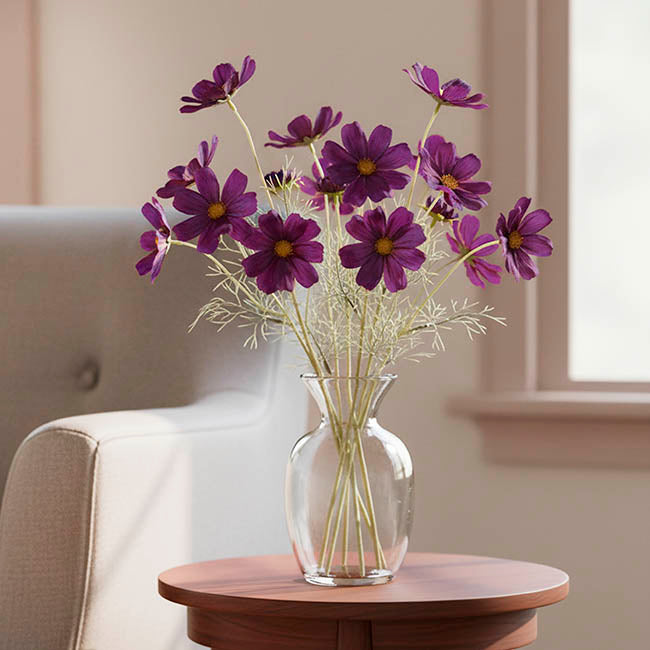 Cosmos Spray Dark Plum (62cmH)