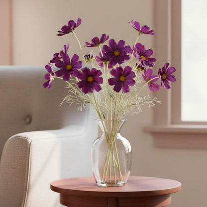 Cosmos Spray Dark Plum (62cmH)