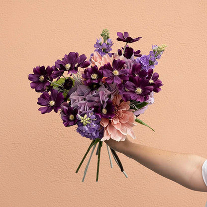 Cosmos Spray Dark Plum (62cmH)