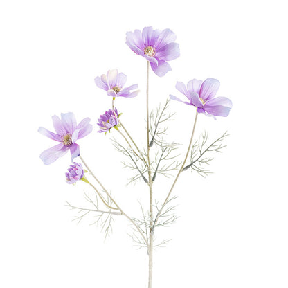 Cosmos Spray Soft Purple (62cmH)