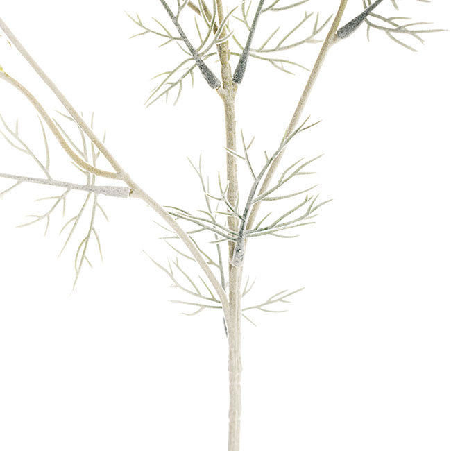 Cosmos Spray Soft Purple (62cmH)