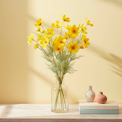 Cosmos Spray Yellow (62cmH)
