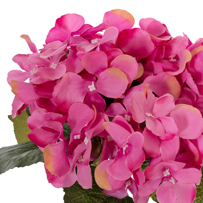Hydrangea Spray x 5 Heads Hot Pink (49cmH)