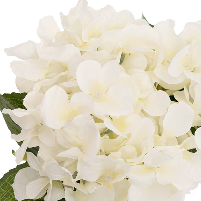Hydrangea Spray x 5 Heads Creamy White (49cmH)