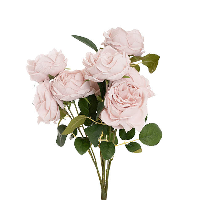 Cabbage Rose x 10 Heads Bouquet Blush Pink (9cmDx45cmH)