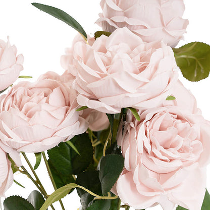 Cabbage Rose x 10 Heads Bouquet Blush Pink (9cmDx45cmH)