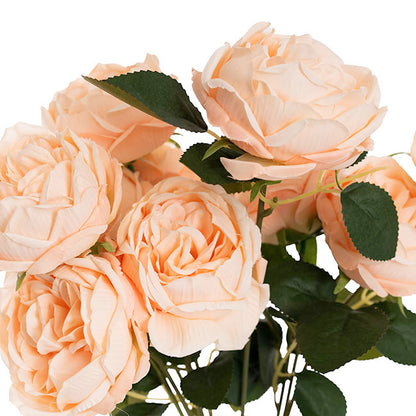 Cabbage Rose x 10 Heads Bouquet Soft Peach (9cmDx45cmH)