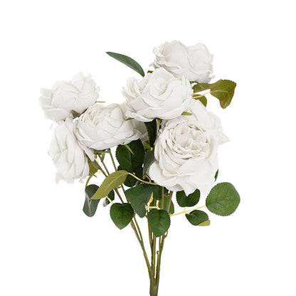 Cabbage Rose x 10 Heads Bouquet White (9cmDx45cmH)