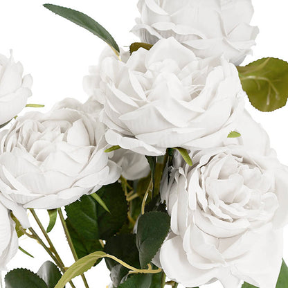 Cabbage Rose x 10 Heads Bouquet White (9cmDx45cmH)