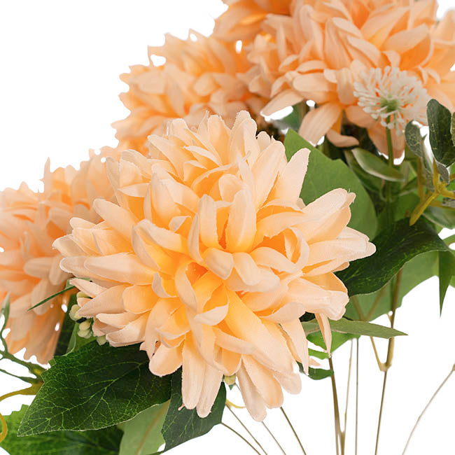 Chrysanthemum x 7 Heads Bouquet Soft Peach (11cmDx48cmH)