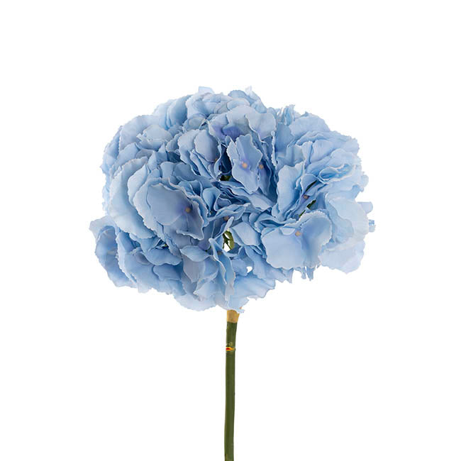 Giant Hydrangea Stem Sky Blue (25cmDx54cmH)