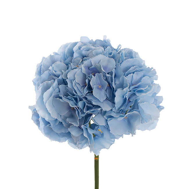 Giant Hydrangea Stem Sky Blue (25cmDx54cmH)