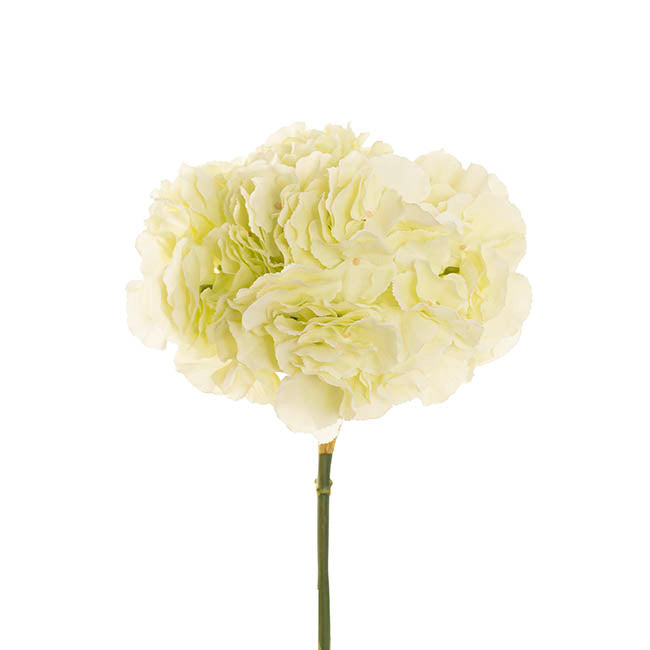 Giant Hydrangea Stem Soft Green (25cmDx54cmH)