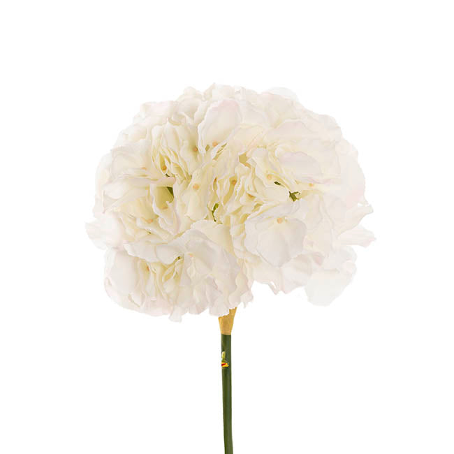 Giant Hydrangea Stem White (25cmDx54cmH)