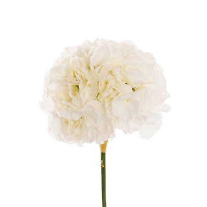 Giant Hydrangea Stem White (25cmDx54cmH)