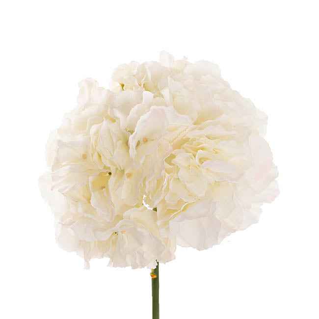 Giant Hydrangea Stem White (25cmDx54cmH)
