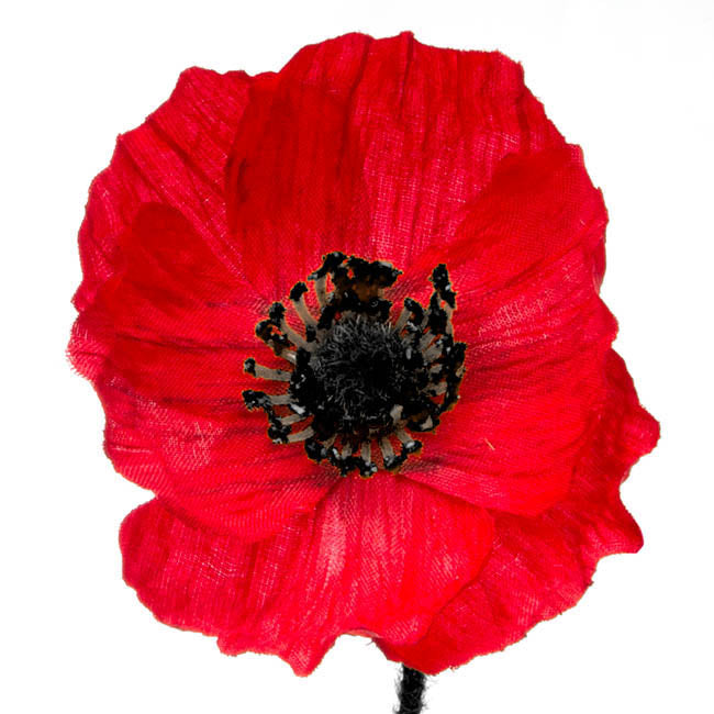 Poppy Spray 3x flowers 1x bud Red (60cm.ST 6-7cm.BUD)